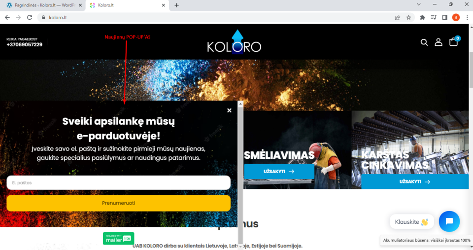 Paslaugų elektroninė parduotuvė su automatiniu kainos skaičiavimo įrankiu